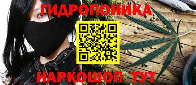 ALPHA PVP Ковров
