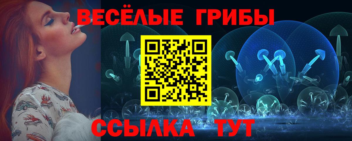 Псилоцибиновые грибы мицелий  Псилоцибиновые грибы MAGIC MUSHROOMS  Вход с VPN  Котлас 